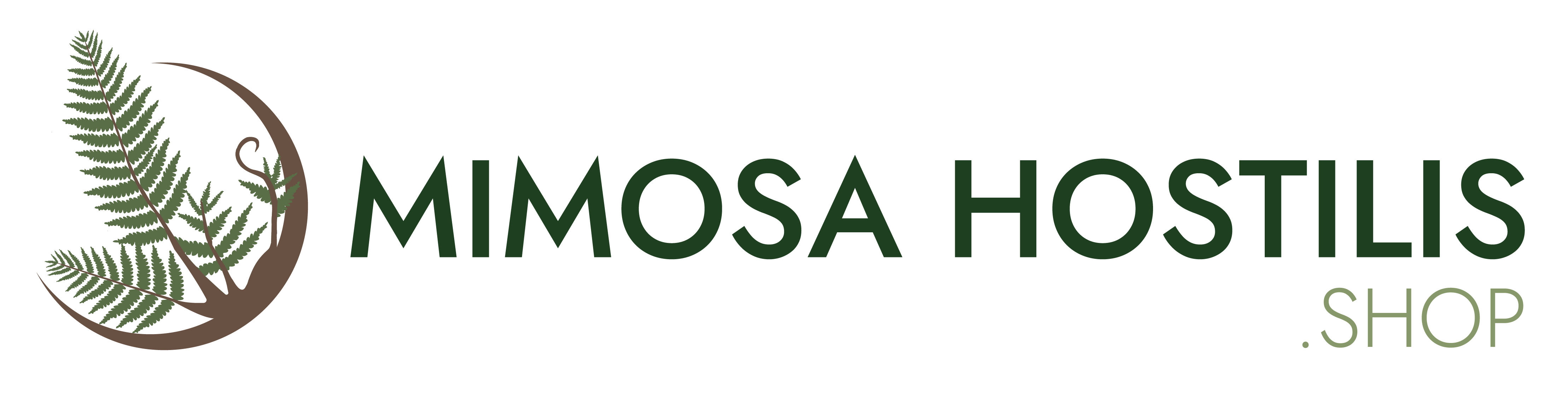Mimosa Hostilis