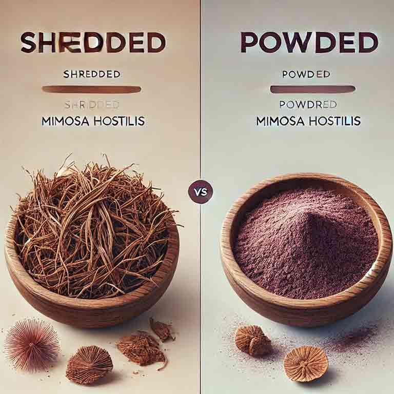 Shredded vs Powdered Mimosa Hostilis: Which One Packs More Power?